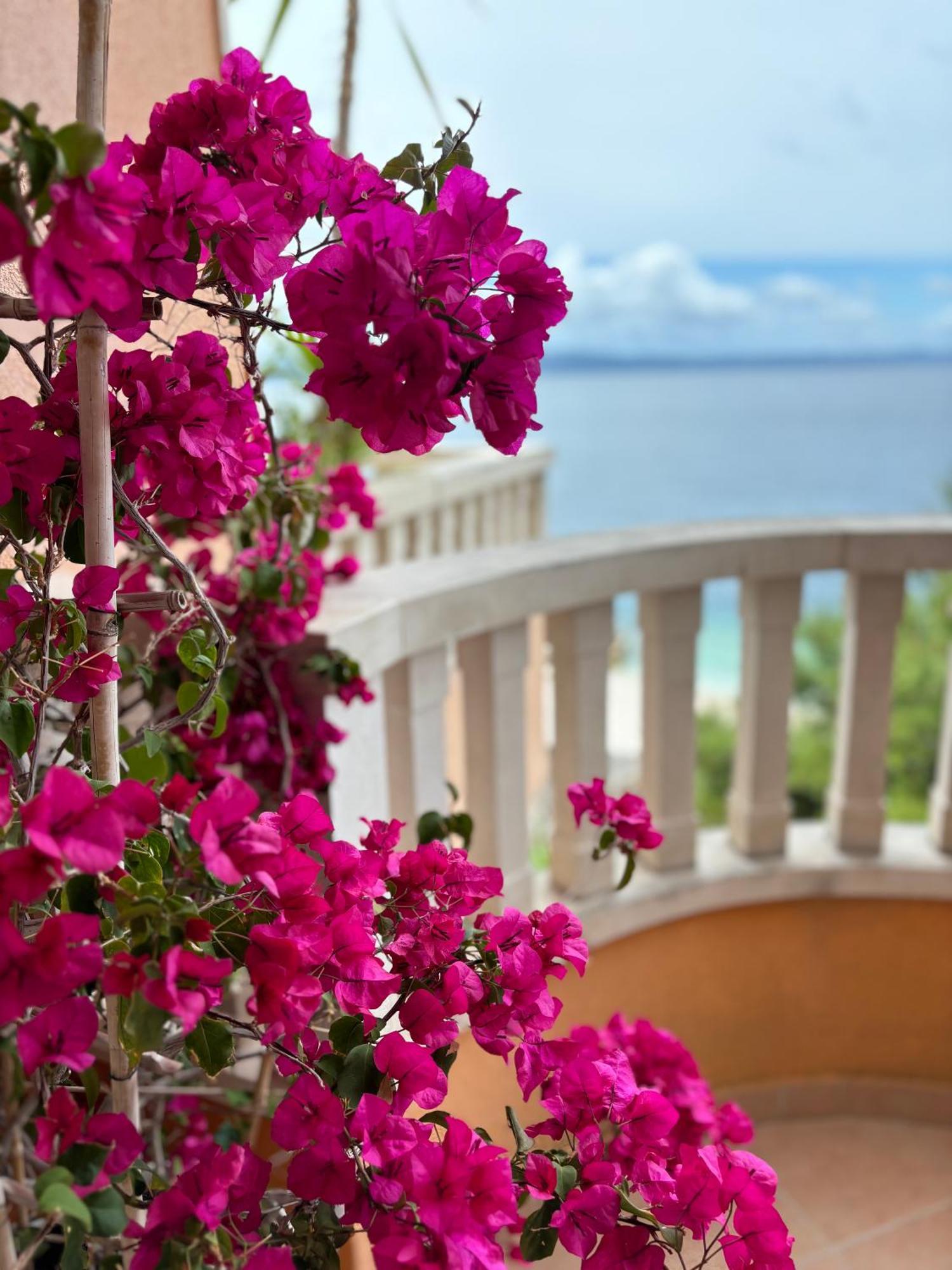Villa Spomenka Podgora Luaran gambar