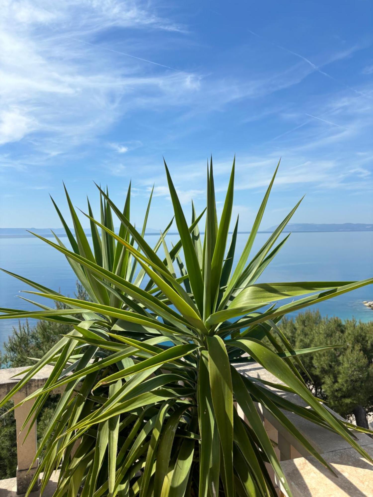Villa Spomenka Podgora Luaran gambar